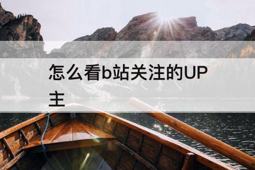 怎么看b站关注的UP主