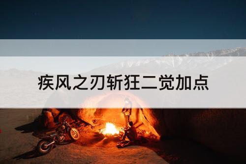 疾风之刃斩狂二觉加点