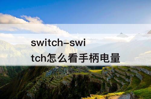 switch-switch怎么看手柄电量