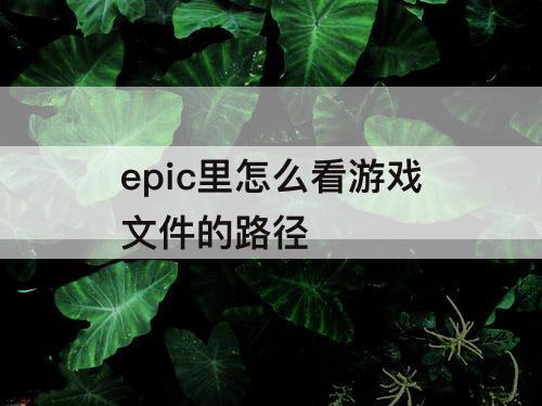 epic里怎么看游戏文件的路径