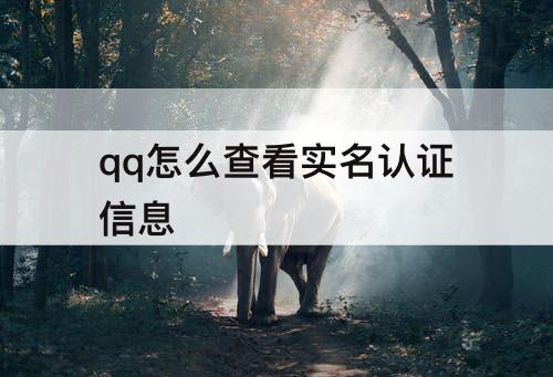 qq怎么查看实名认证信息