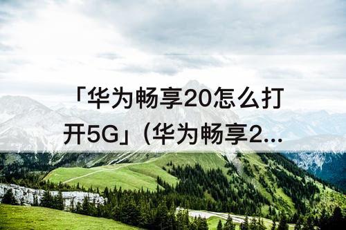 「华为畅享20怎么打开5G」(华为畅享20怎么打开5g开关)