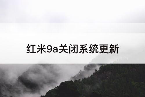 红米9a关闭系统更新