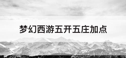 梦幻西游五开五庄加点
