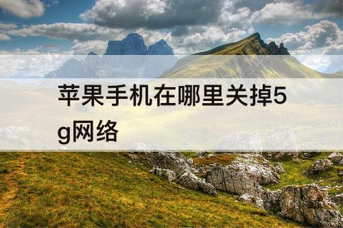 苹果手机在哪里关掉5g网络