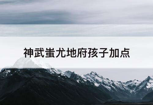神武蚩尤地府孩子加点