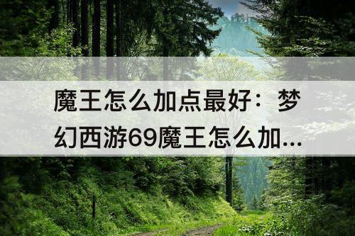 魔王怎么加点最好：梦幻西游69魔王怎么加点最好