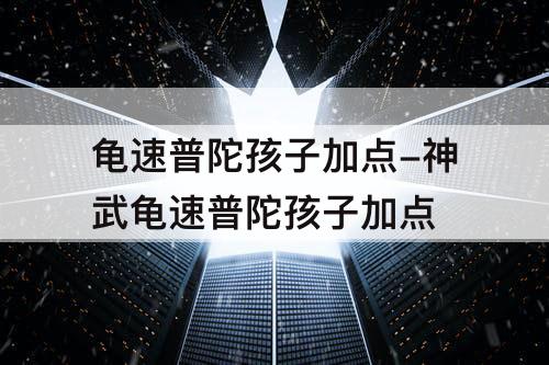 龟速普陀孩子加点-神武龟速普陀孩子加点