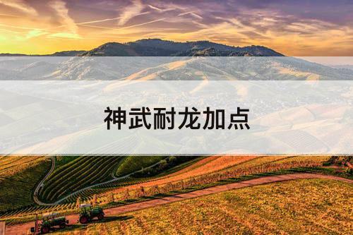 神武耐龙加点