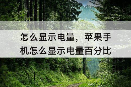 怎么显示电量，苹果手机怎么显示电量百分比