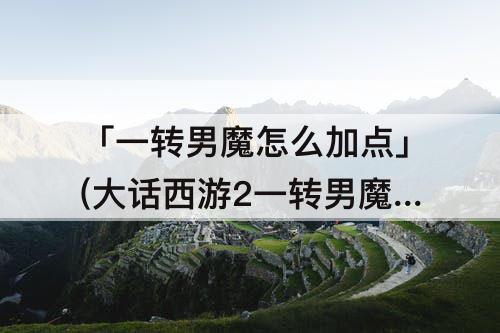 「一转男魔怎么加点」(大话西游2一转男魔怎么加点)