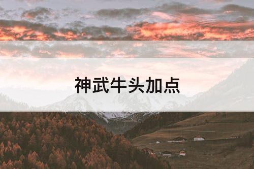 神武牛头加点