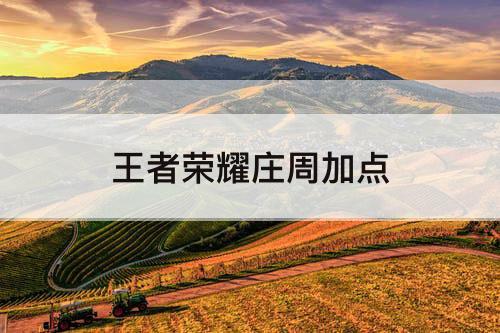 王者荣耀庄周加点