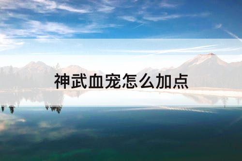 神武血宠怎么加点