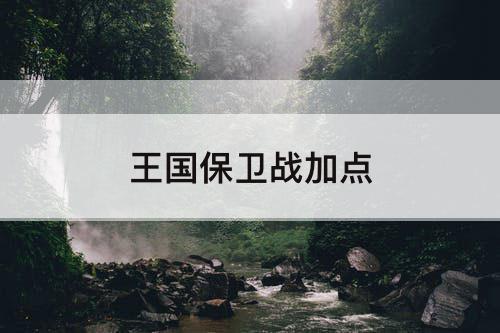 王国保卫战加点