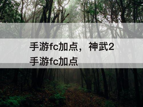 手游fc加点，神武2手游fc加点