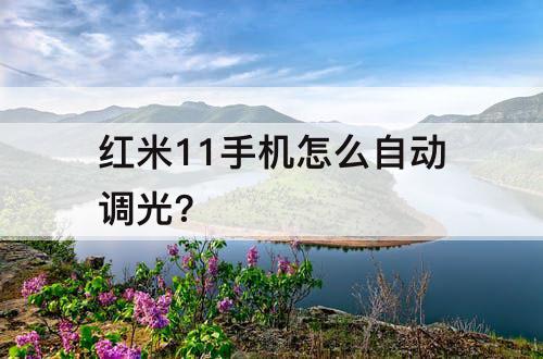 红米11手机怎么自动调光?