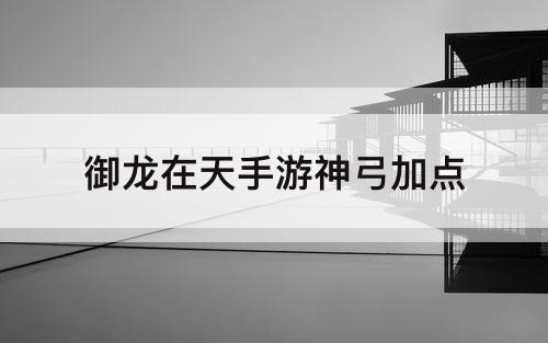 御龙在天手游神弓加点