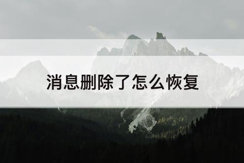 消息删除了怎么恢复