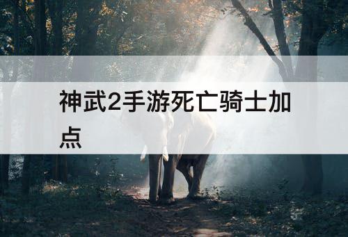 神武2手游死亡骑士加点