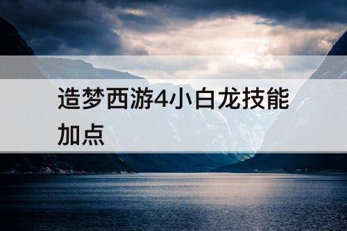 造梦西游4小白龙技能加点