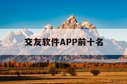 交友软件APP前十名