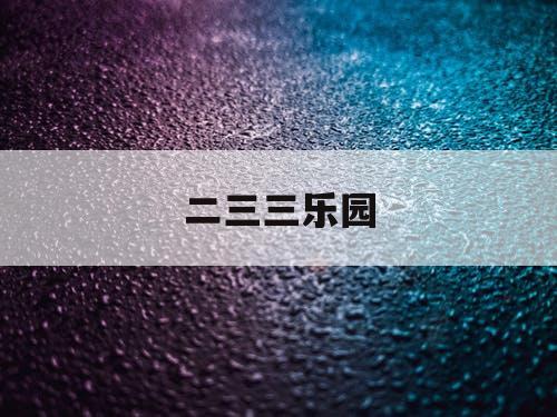 二三三乐园