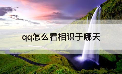 qq怎么看相识于哪天