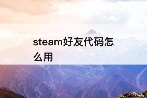 steam好友代码怎么用