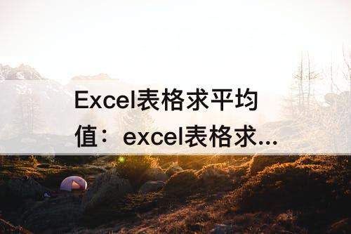 Excel表格求平均值：excel表格求平均值显示乱码怎么办