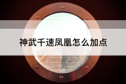 神武千速凤凰怎么加点