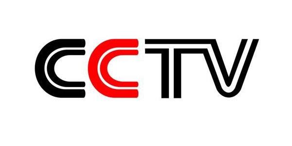 cctv播放器