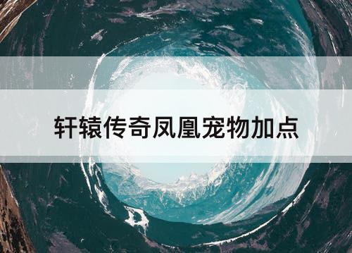 轩辕传奇凤凰宠物加点
