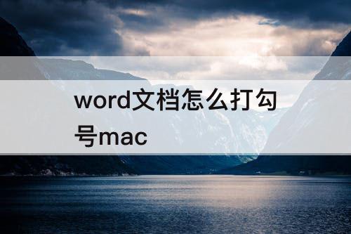word文档怎么打勾号mac