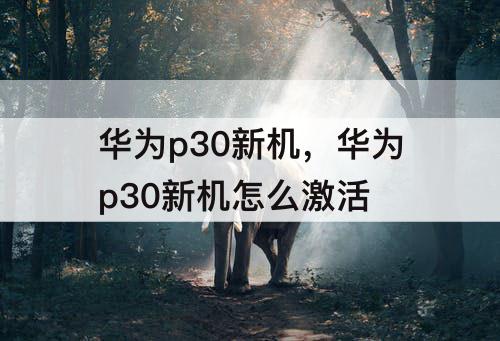 华为p30新机，华为p30新机怎么激活