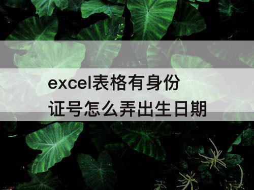 excel表格有身份证号怎么弄出生日期