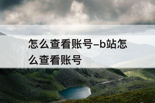 怎么查看账号-b站怎么查看账号