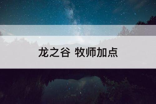 龙之谷 牧师加点