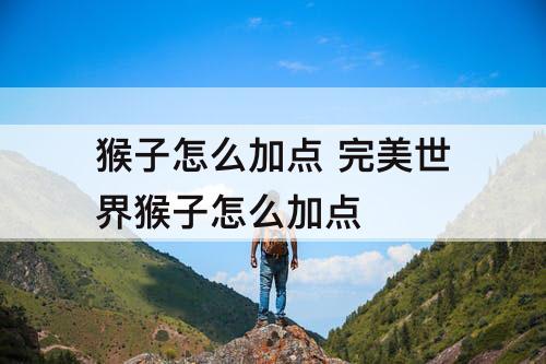 猴子怎么加点 完美世界猴子怎么加点
