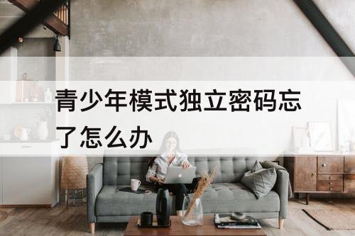 青少年模式独立密码忘了怎么办