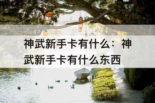 神武新手卡有什么：神武新手卡有什么东西