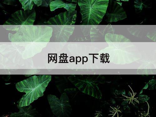 网盘app下载