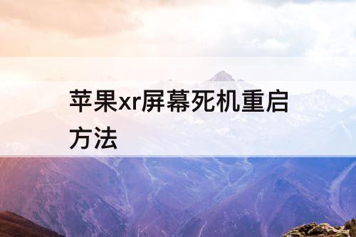 苹果xr屏幕死机重启方法