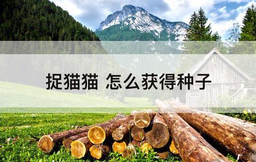 捉猫猫 怎么获得种子
