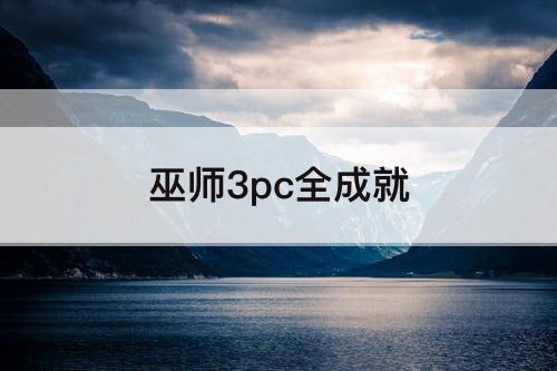 巫师3pc全成就
