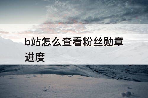 b站怎么查看粉丝勋章进度