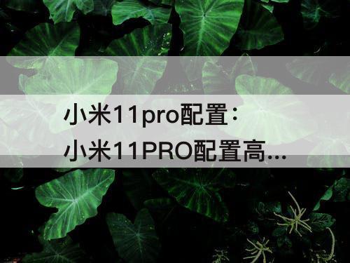 小米11pro配置：小米11PRO配置高吗