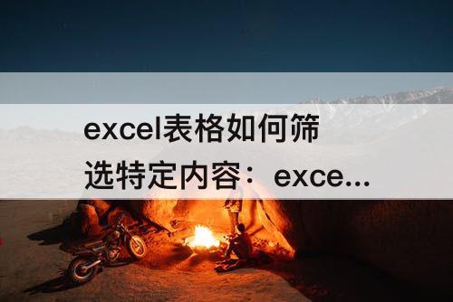 excel表格如何筛选特定内容：excel表格如何筛选特定内容快捷键