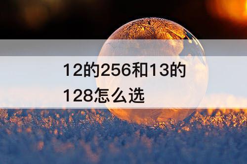 12的256和13的128怎么选