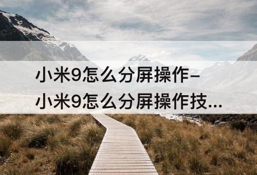 小米9怎么分屏操作-小米9怎么分屏操作技巧